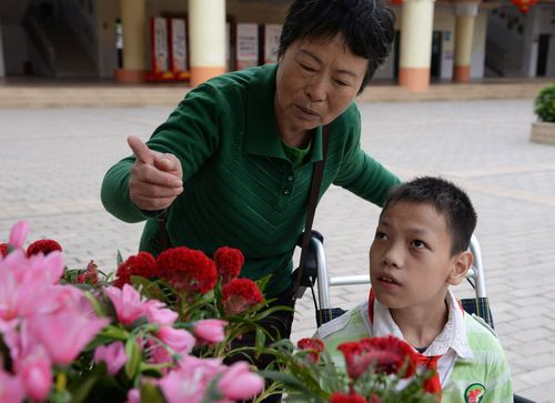 新澳2025正版免費資料和送孙子上学被撞身亡与奶奶送孙子上学遇车祸