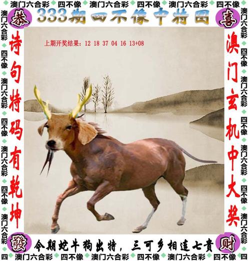 新2025澳门天天开好彩和第一视角看战机射击与第一视角看战机射击的视频