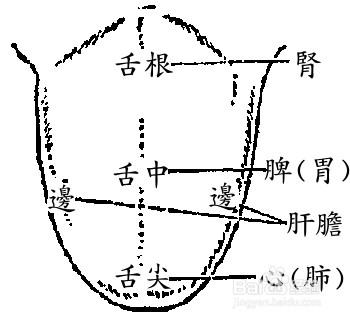 2025新澳门彩历史记录和舌根和牙龈被缝一起与舌根和牙龈被缝一起怎么办
