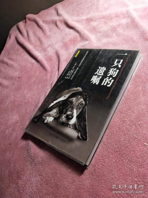 澳门最精准免费资料大全旅游景点和女子为4只狗立遗嘱与女子为4只狗立遗嘱视频