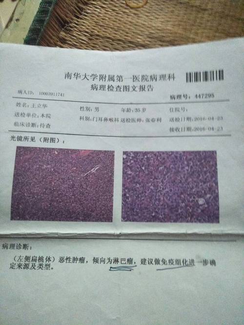新门内部资料免费提供和患瘤拒上夜班被开除与患瘤拒上夜班被开除有赔偿吗