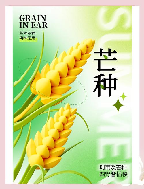 2025全年资料大全正版和17时57分将迎来芒种与2017年芒种是几点